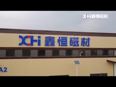 Bitki alanının kapsamlı bir gösterimi